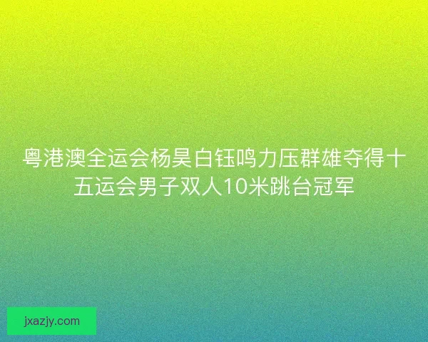 粤港澳全运会杨昊白钰鸣力压群雄夺得十五运会男子双人10米跳台冠军